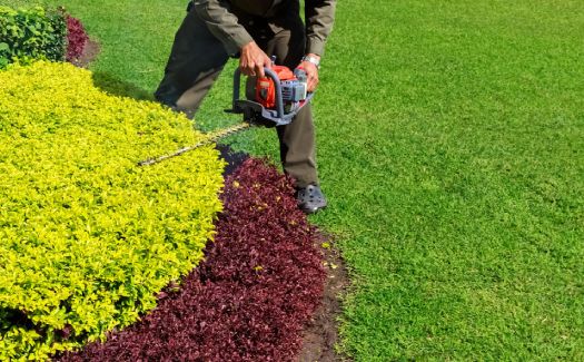 Landscaping
