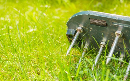 Lawn Aeration